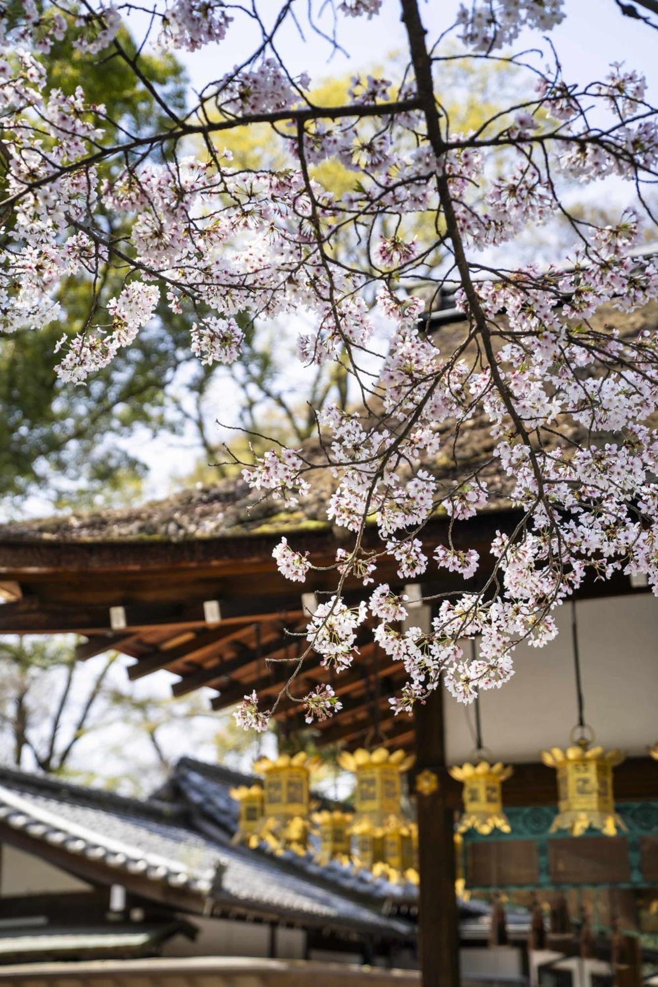 Kamo Residences By Reflections Kyoto Luaran gambar